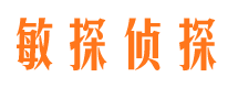 武定市私家侦探